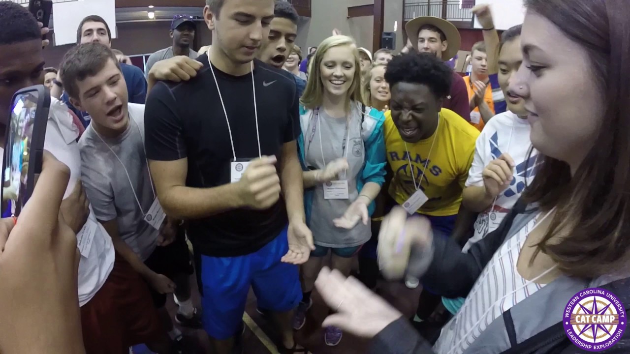 Cat Camp Promo Video 2017 YouTube