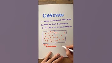 What is diffusion? #biology #learnscience #science