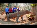 CID Team को मिला सालों पुराना खतरनाक Monster || CID | सी.आई.डी. | Latest Episode | 13 Apr 2026