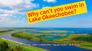 Why Cant You Swim In Lake Okeechobee?