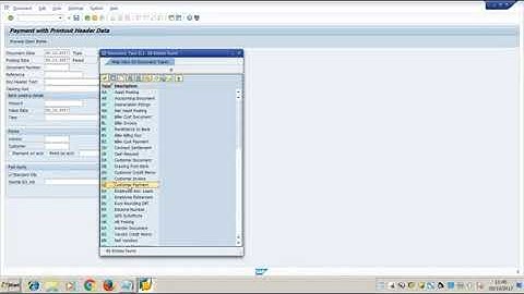 Liability Creation and Issue Cheque to the Customer in SAP : DOP