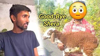 Good Bye Shera😭😭