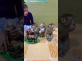 Adorable baby monkey #monkeylove #monkeybaby #adorable #adorablemonkey #babyanimal #monkeysmart