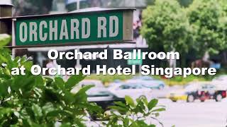 Custer International Roadshow - How Will Change Blockchain Infrastructure Building?