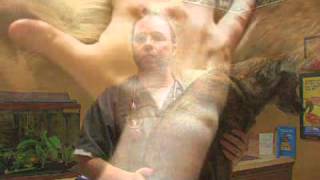 What Causes Skin Irritations On A Dog?