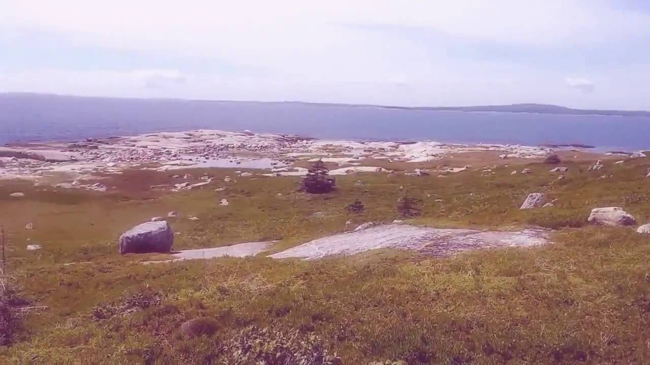 MOVIE 1: A movie created by Google Photos Assistant