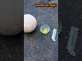 أقوى خدعة بالبيض لإعادة الكرة Sport 