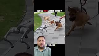 AI dog scared 😳 real dog #reaction
