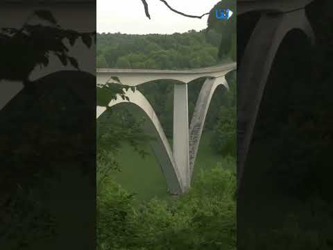 Explore South USA Hidden Gems| Waggle