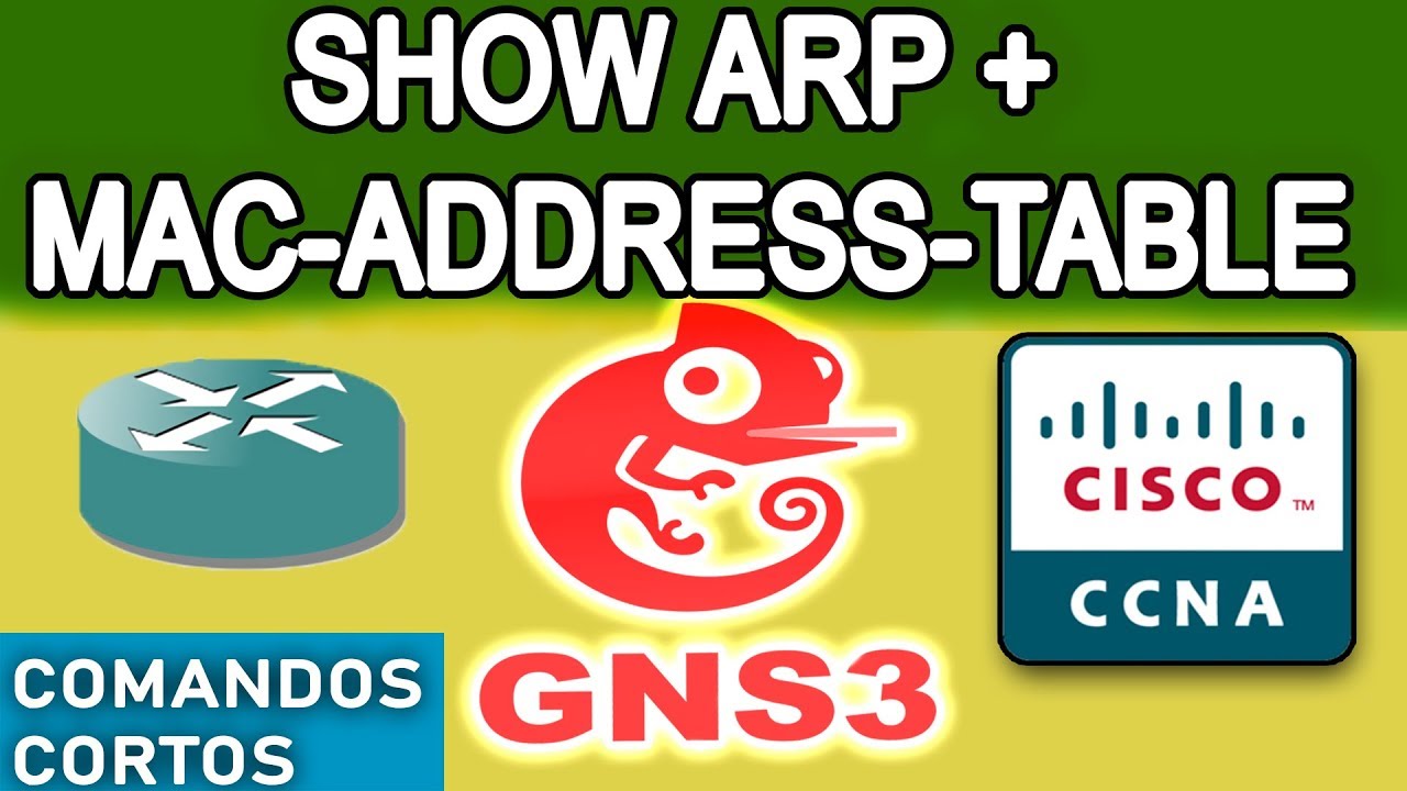 Comandos cortos show arp mac address table gns3 espa ol chileno