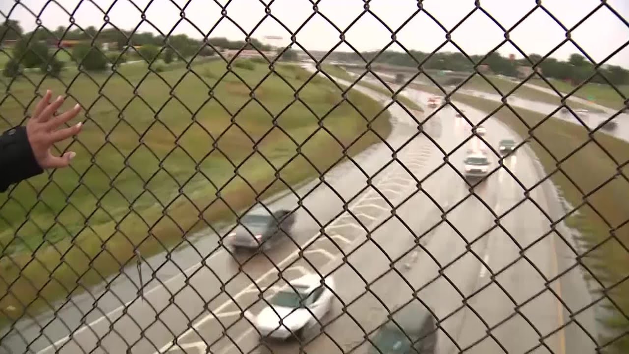 Police looking for two men who allegedly threw dogs over bridge - YouTube