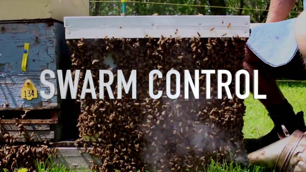 I. Introduction to Swarm Prevention and Control