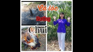 Cá lóc nướng chui thơm ngon  | Ba chị em TV