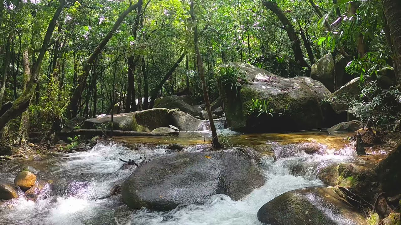 FOR SALE 38 Stonewood Rd Diwan YouTube