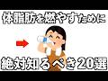 体脂肪を燃やすために1番大切な20の教え【賢く痩せるための隠れた常識20選】