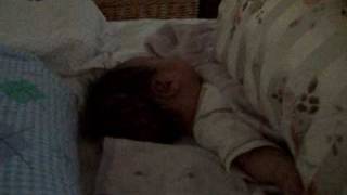 20100418 002.AVI