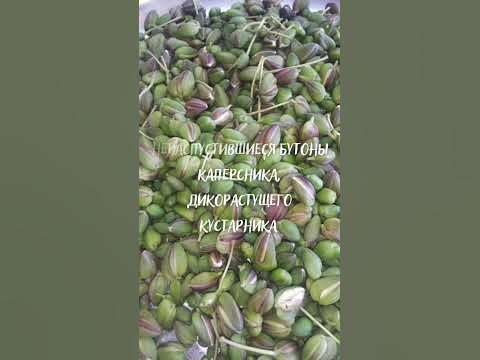 Что такое каперсы? - YouTube