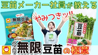 ＼東洋水産コラボ企画／ 豆苗メーカー社員が教える！“パリパリ無限豆苗の極意”【豆苗の極意シリーズ】