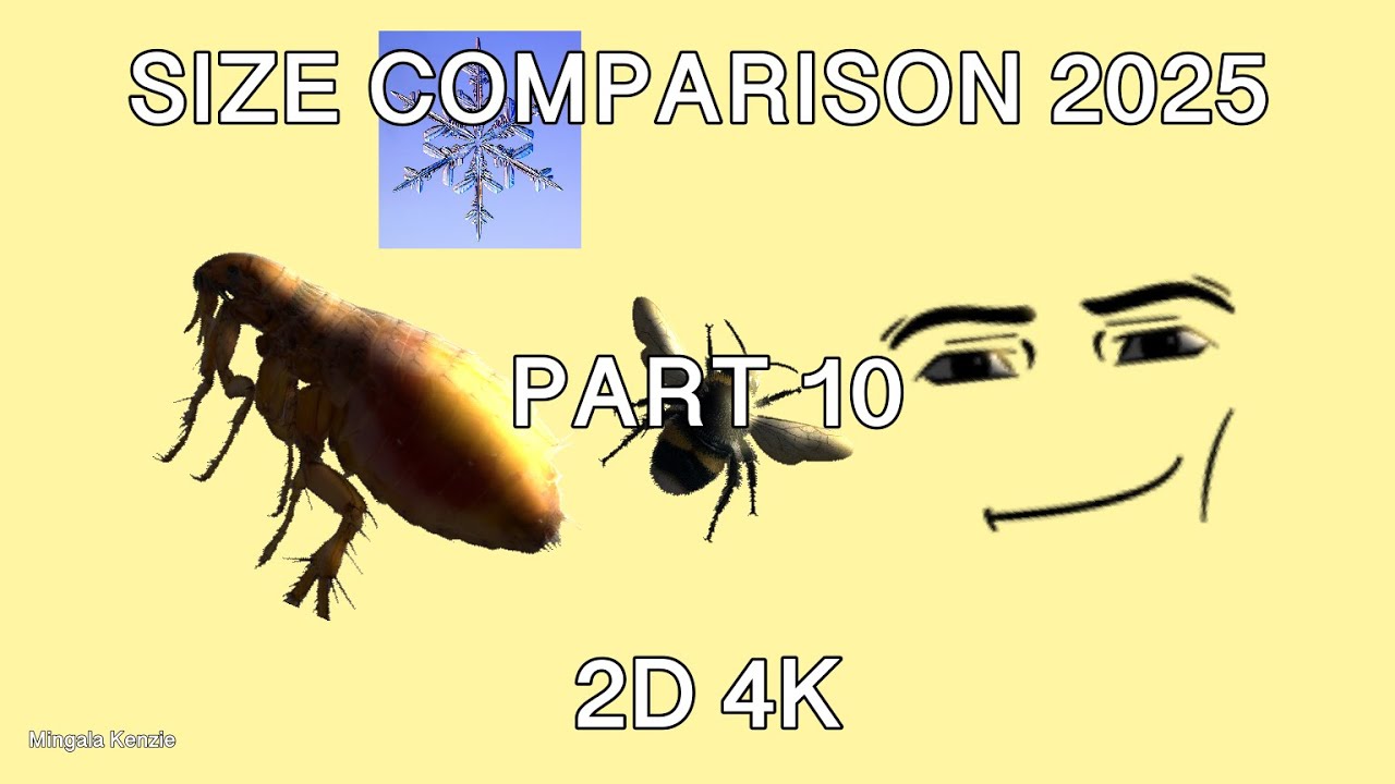 ABSOLUTE Size Comparison 2025 (Part 10) 4K 60FPS 2D YouTube