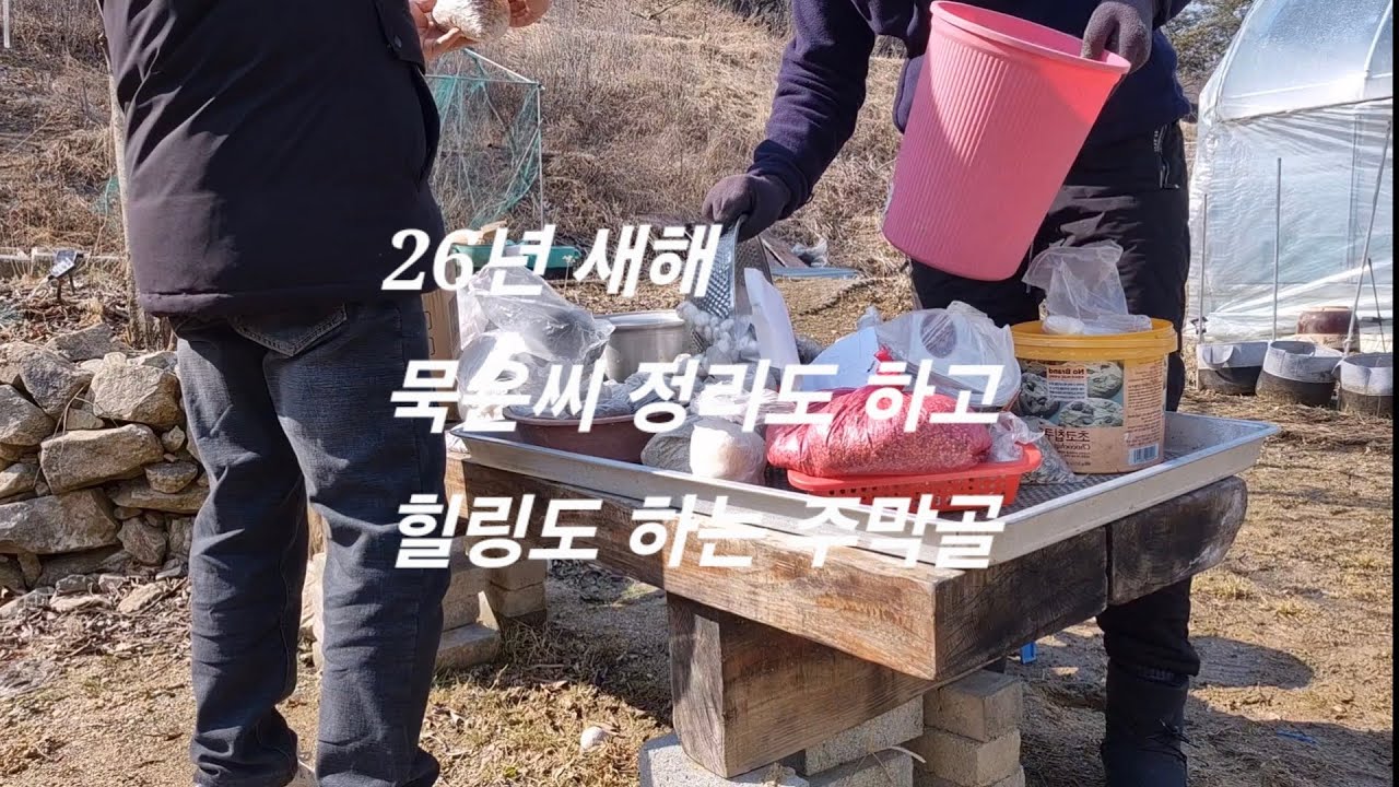 2026년 새해, 묵은 씨앗 정리하며 농사 준비 시작합니다