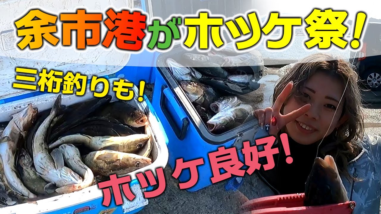 [ホッケ]余市港でホッケとマガレイを釣るぞ！[マガレイ]
