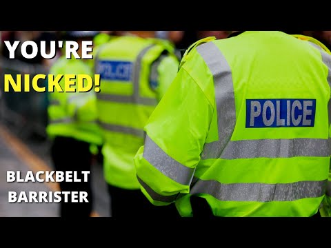 You Will Understand if You Watch This!