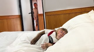 Cutis Secretly Hide From Dad Choose Private Room On Villa & Enjoy Good Night's Sleep