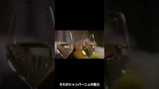 シャンパーニュの魅力 #wine #ワインのある暮らし #恋愛 #winelover