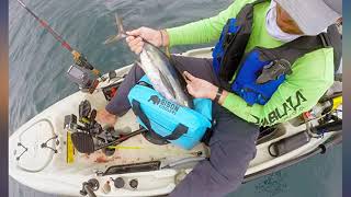 BISON COOLERS 24 Can Insulated Ice Chest Bag for Beer, Soda, Water or Lunch | Tear review Net Worth