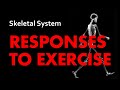 Skeletal System Responses to Exercise Quiz