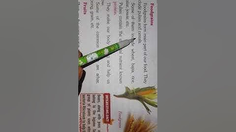 Class 4      EVS   Chapter 3      Part 1