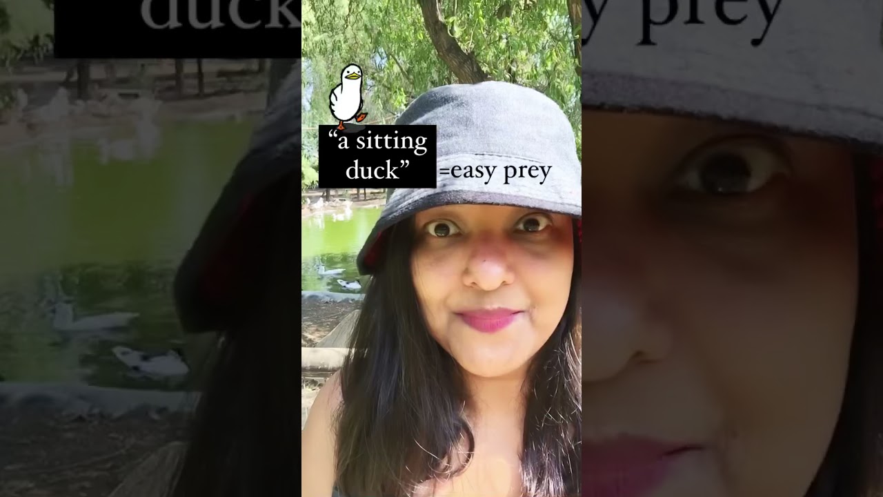 “”Sitting duck” Idiom 