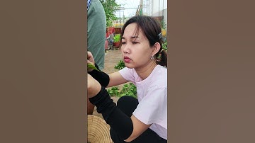 Ớt mà làm mức được Nó đã lắm ta!!#thuytrangsadec #trongrausanthuong #nhatrangsadec