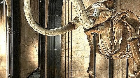 Syberia Walkthrough - Part 12 - Upscaled to HD