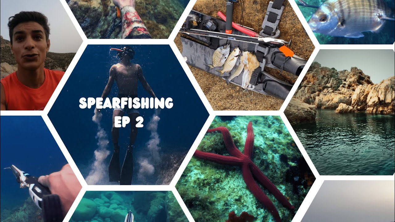 Spearfishing - EP 2 🌊🐠