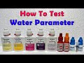 Neocaridina Shrimp Tank Part 2 - How To Test Water Parameter