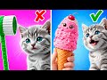 We Tested This Meow Gadgets for Cats—Watch the Results! 🪥🍦 By Meow-some! Live