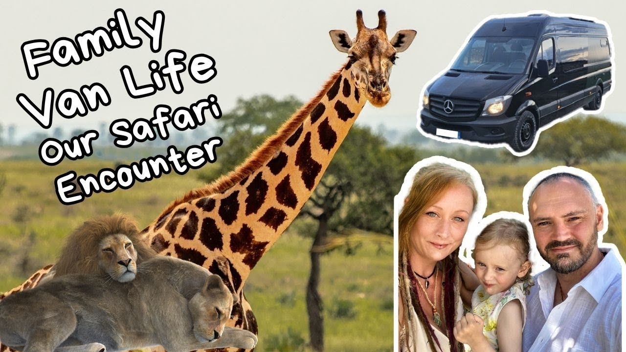 Epic Santa Polo Safari and Zoo Sleepover - van life Spain