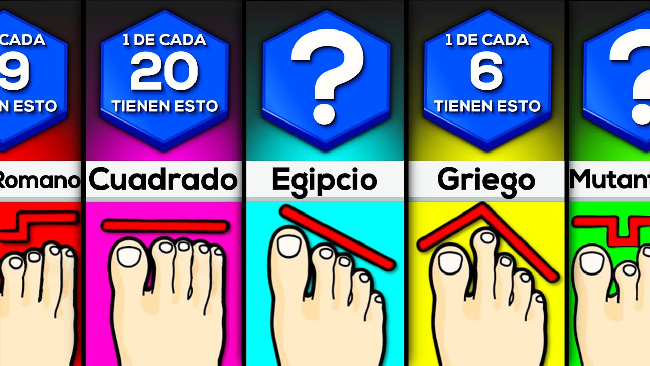 Los Diferentes Tipos De Pies