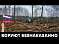 Ущерб 1 млн., а штраф 35 тыс. Замминистр ушёл от отвественности!