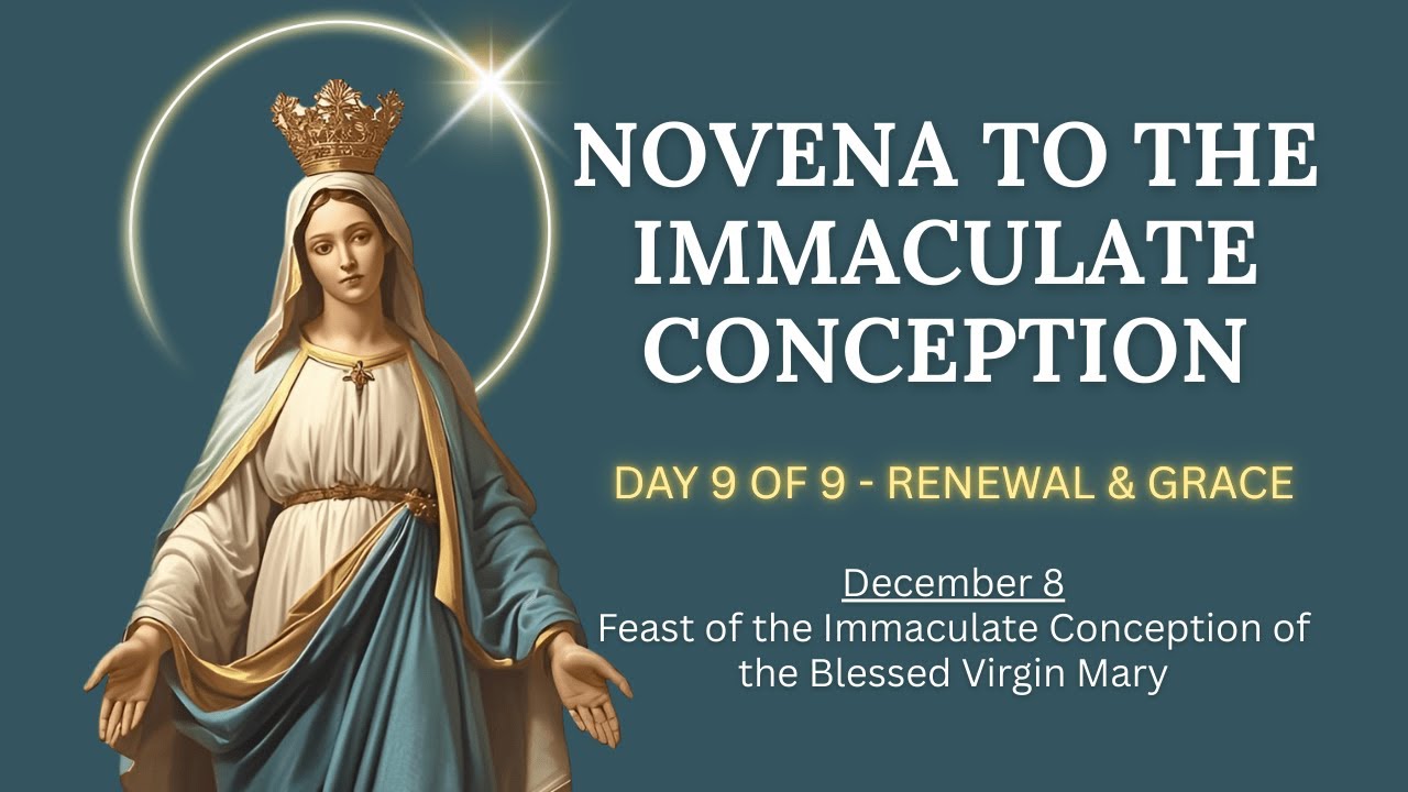 Novena Day 9 ✝️ Immaculate Conception | Renewal and Grace