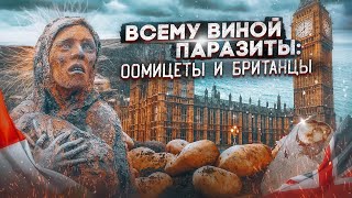 Картофельный голод в Ирландии