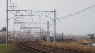 2019.4.7名鉄2200系2211Fミュージックホーン桜満開笠松カーブ通過！！