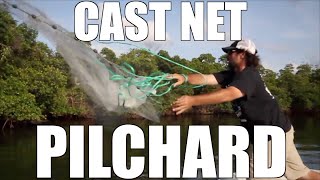 Cast Netting Pilchards - Lunkerdog