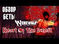 Heart of the Forest. Первый взгляд