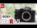 ソニー α7R VI|可能性を広げる高画素機