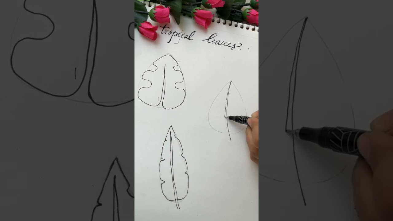 tropical leaves drawing easy 