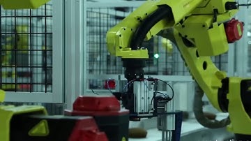 Robotic Cut & Tray Pack System