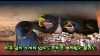 영상 미리보기