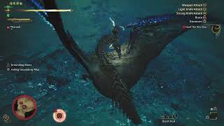 Monster Hunter Wilds 7